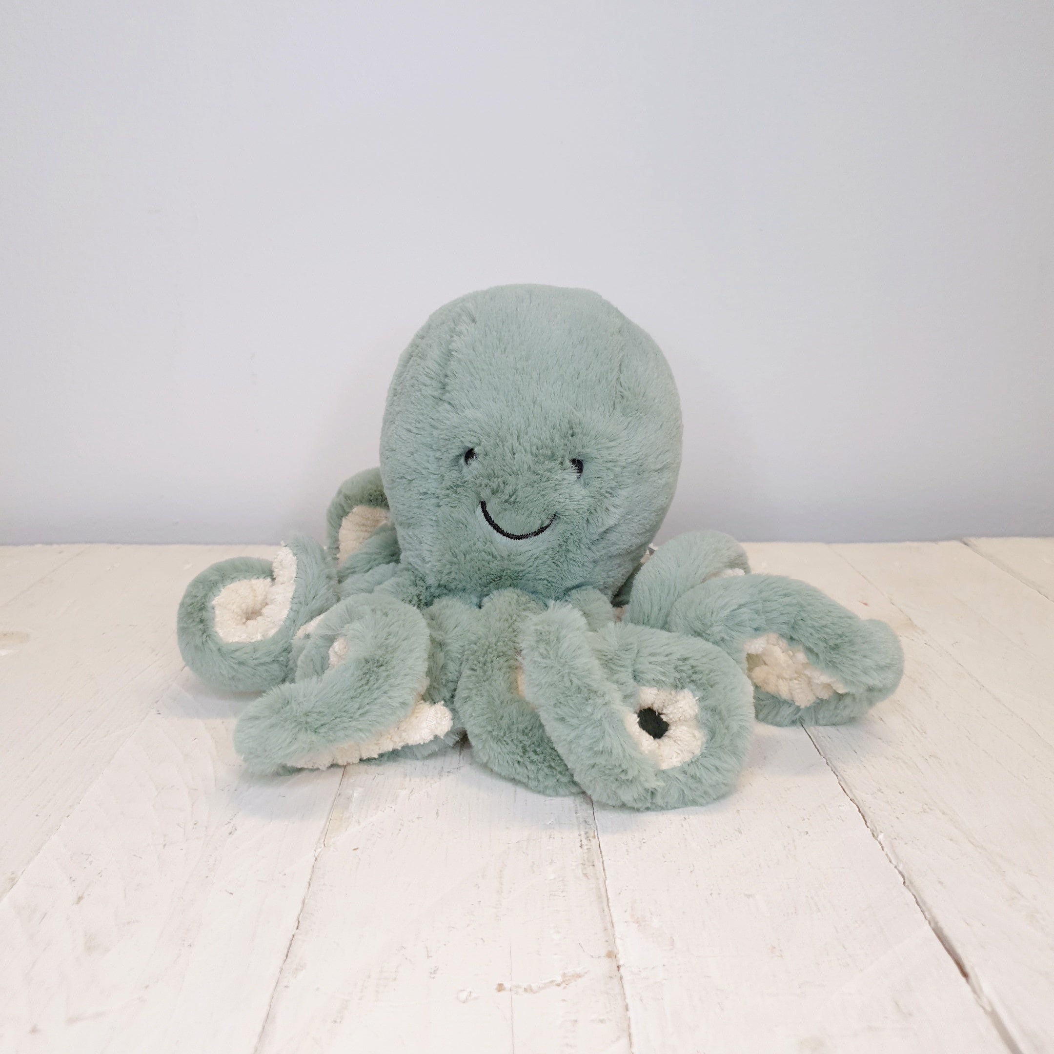Odyssey Octopus Little Inle Home